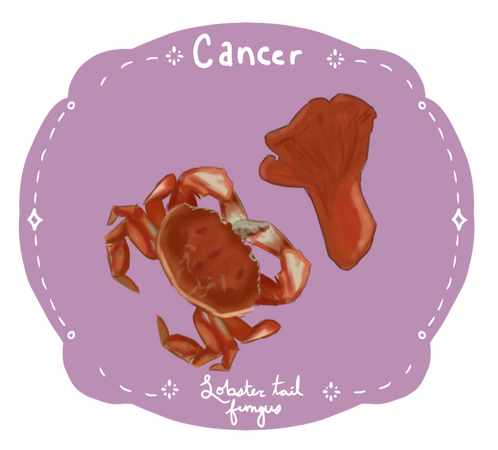 &quot;Fungal Horoscope - Cancer&quot;